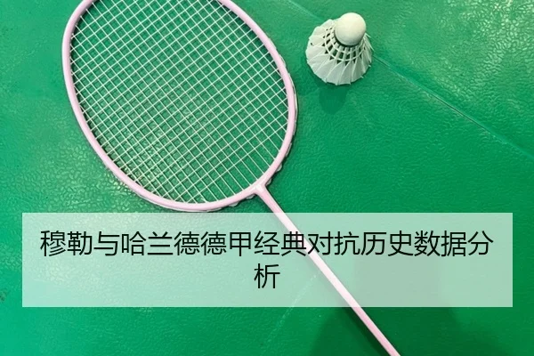 穆勒与哈兰德德甲经典对抗历史数据分析